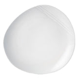 Steelite 9002C646 Plate 10.0" X 1.625" Organics