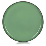 Revol 652729 (CO1230N-253) Dinner Plate (SHIPS FROM FRANCE) 11-3/4" Dia. X 3/4"H