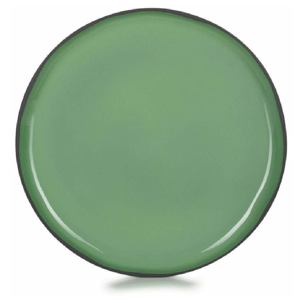 Revol 652704 (CO1226N-253) Dinner Plate (SHIPS FROM FRANCE) 10-1/4" Dia. X 3/4"H