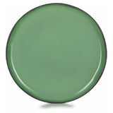 Revol 652704 (CO1226N-253) Dinner Plate (SHIPS FROM FRANCE) 10-1/4" Dia. X 3/4"H