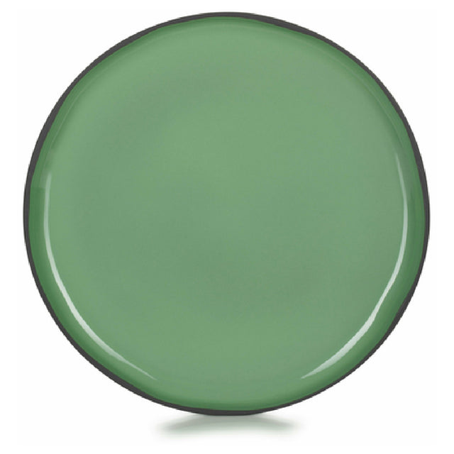 Revol 652704 (CO1226N-253) Dinner Plate (SHIPS FROM FRANCE) 10-1/4" Dia. X 3/4"H