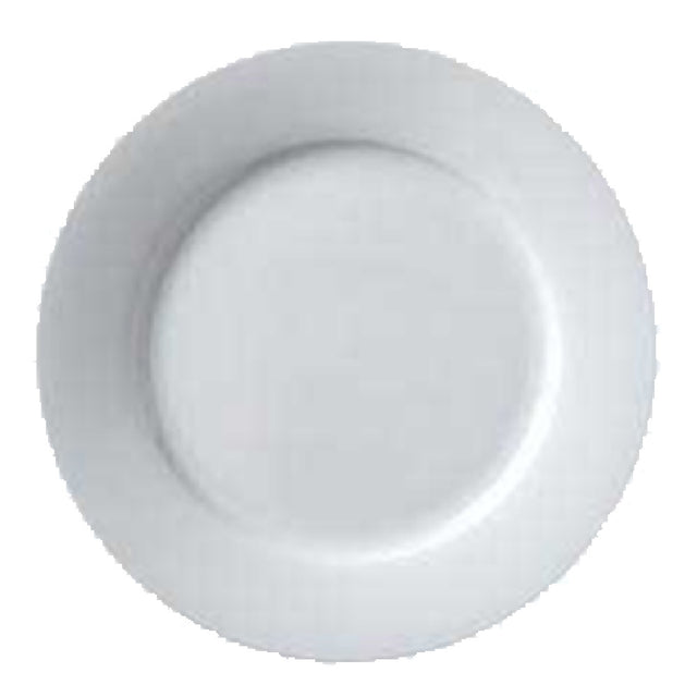 Vertex China ARG-9 Plate 9-3/4" Dia. Round