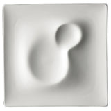 Steelite 6315P1202 Landscape Plate 10.5" X 10.5"Landscape Folio