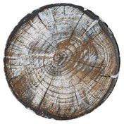 BauscherHepp 711228-360226 Plate 11" Dia. Round