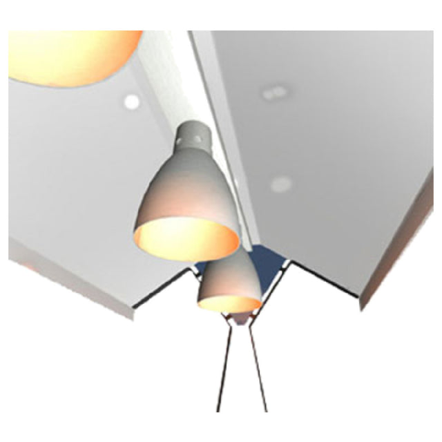Duke BI-4 Bullet Lamps Incandescent Bulb (4) 60 Watt Each For 58-3/8" Long Units
