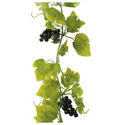 BauscherHepp SB21 Vine 72-4/5" With Black Grapes