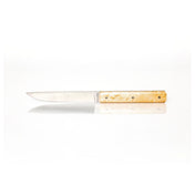 Revol 230888 Perceval Table Knife 888 High End And Resistant Steel Blade Non Serrated