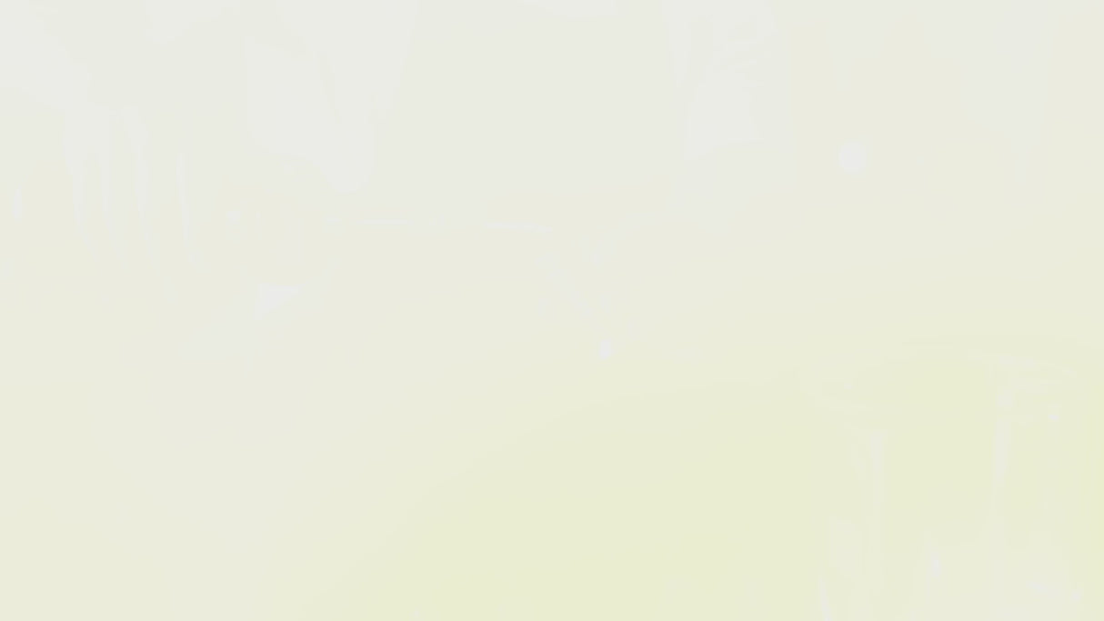 Waring BevBasix™ BB145 Bar Blender