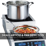 A stainless steel pot boils on the rear burner of this countertop induction range, while a pan with tomato-based food simmers up front. The display shows “SMALL-ARTICLE & PAN DETECTION: Accepts Minimum Pan Size of 4 Inches.” Digital controls are below.