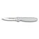 Dexter Russell 31610 3" Basics Series Clip Point Paring Knife with High-Carbon Steel Blade